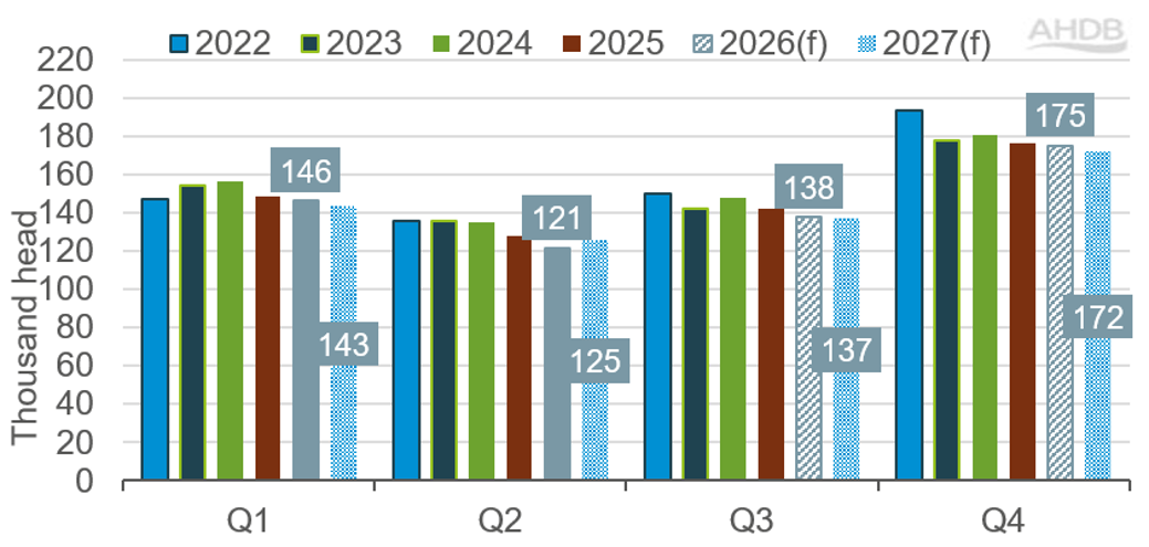 Bar chart showing actual and forecast UK cow slaughter